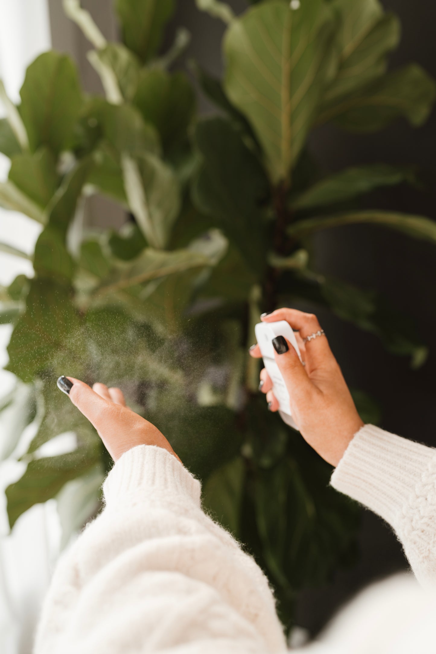 Moisturizing Hand Sanitizer Spray