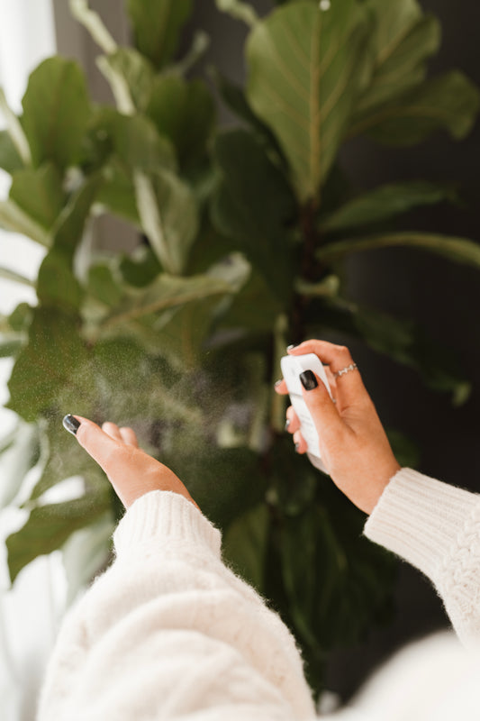 Moisturizing Hand Sanitizer Spray